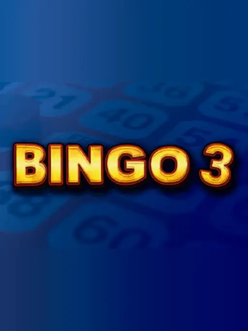 Bingo 3